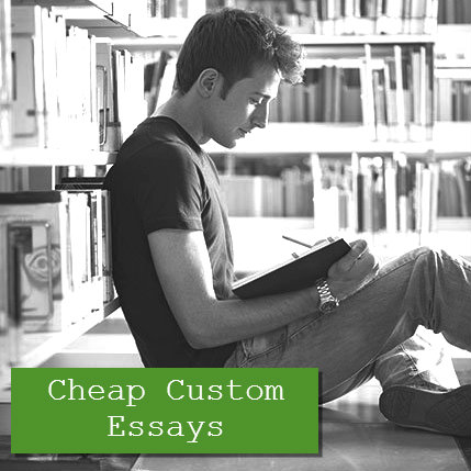Custom essay services